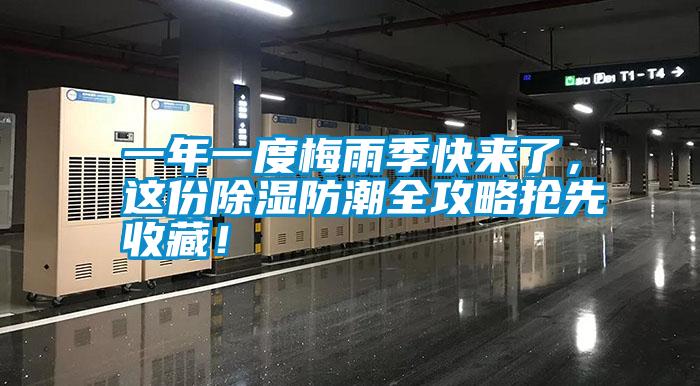 一年一度梅雨季快來了，這份除濕防潮全攻略搶先收藏！