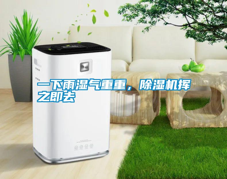一下雨濕氣重重,除濕機揮之即去