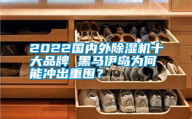 2022國(guó)內(nèi)外除濕機(jī)十大品牌 黑馬伊島為何能沖出重圍?