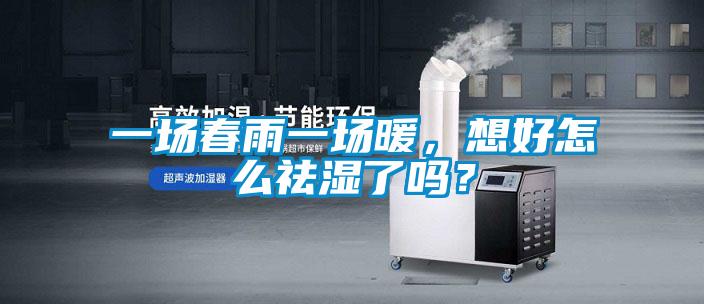 一場春雨一場暖,想好怎么祛濕了嗎?