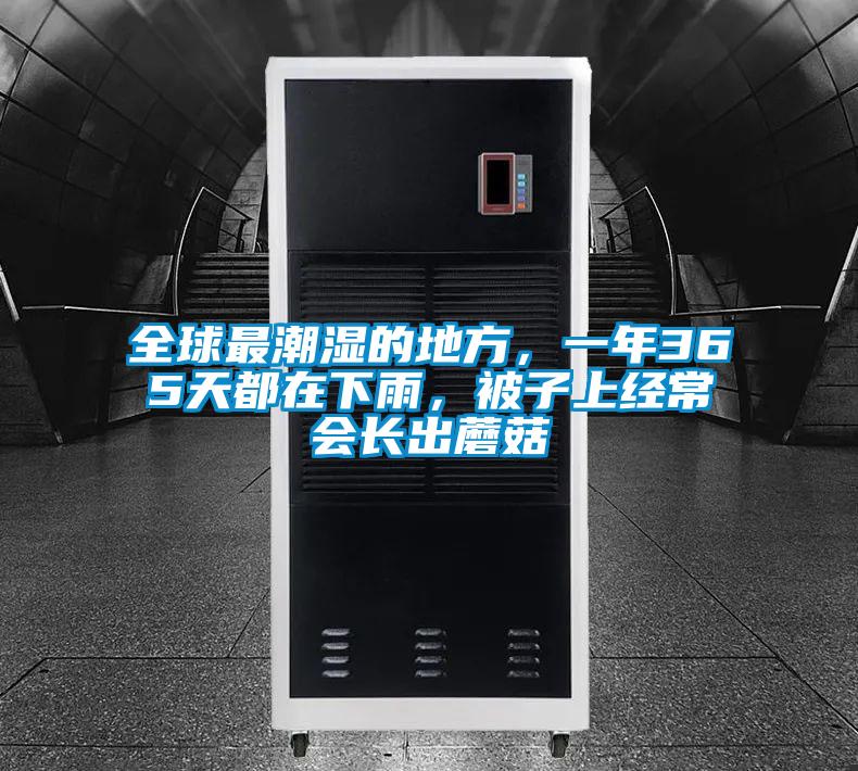 全球最潮濕的地方,一年365天都在下雨,被子上經常會長出蘑菇