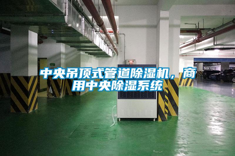 中央吊頂式管道除濕機,商用中央除濕系統(tǒng)