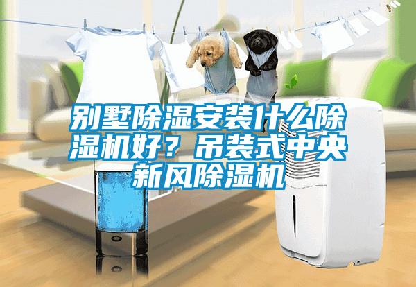別墅除濕安裝什么除濕機好?吊裝式中央新風除濕機
