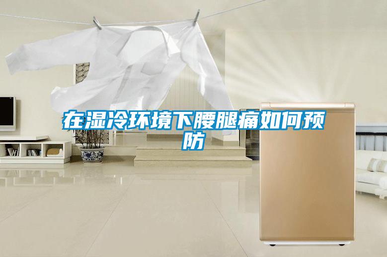 在濕冷環(huán)境下腰腿痛如何預防