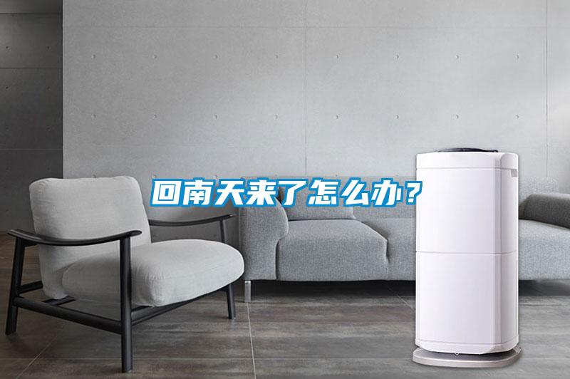回南天來(lái)了怎么辦?