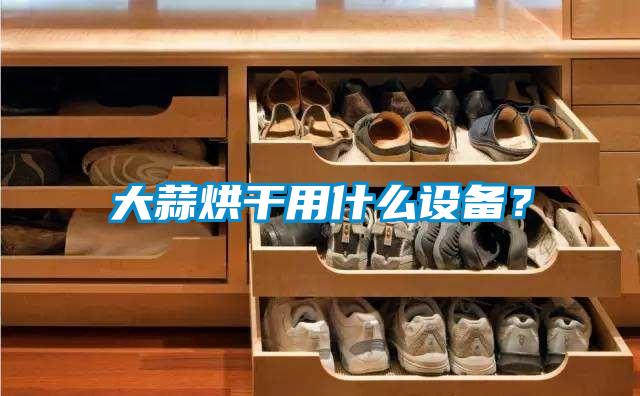 大蒜烘干用什么設備?