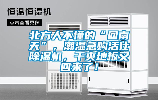北方人不懂的“回南天”，潮濕急購活仕除濕機，干爽地板又回來了！