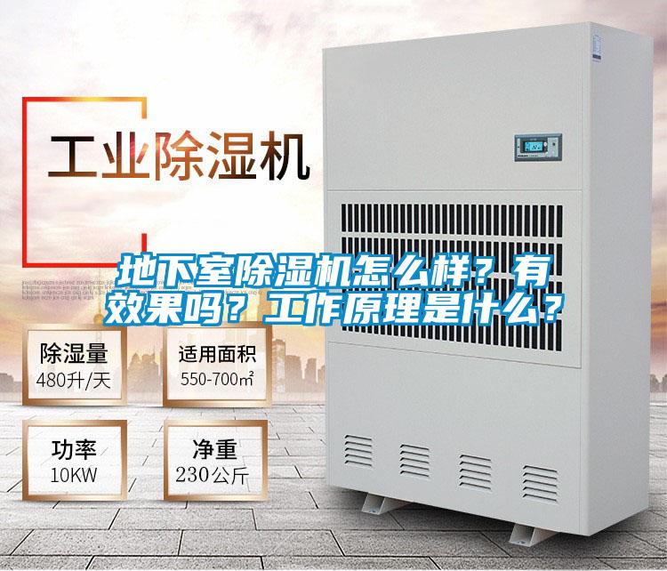 地下室除濕機怎么樣？有效果嗎？工作原理是什么？