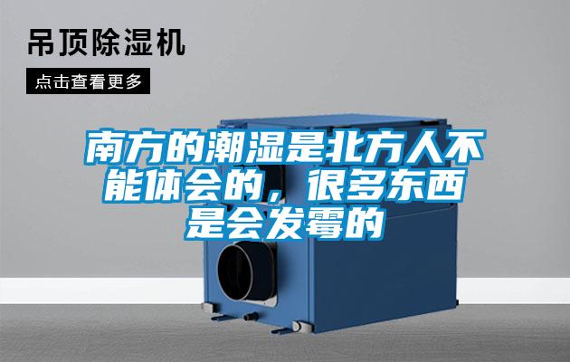 南方的潮濕是北方人不能體會(huì)的,很多東西是會(huì)發(fā)霉的