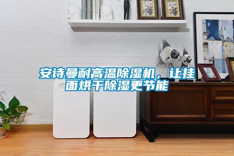 安詩曼耐高溫除濕機,讓掛面烘干除濕更節(jié)能