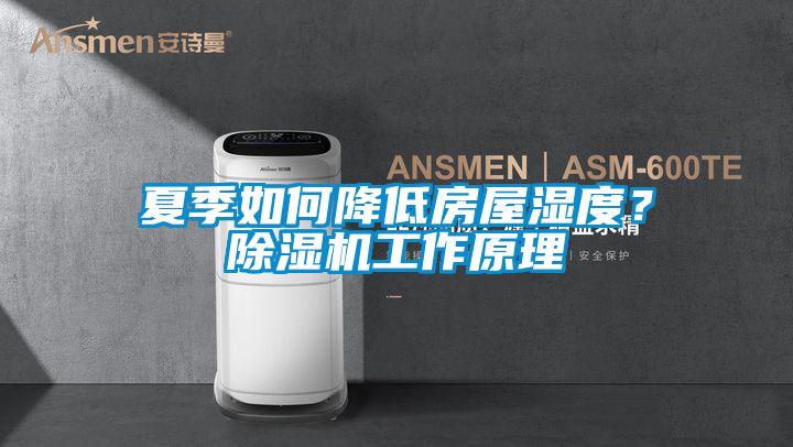 夏季如何降低房屋濕度？除濕機工作原理
