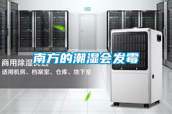 南方的潮濕會發霉