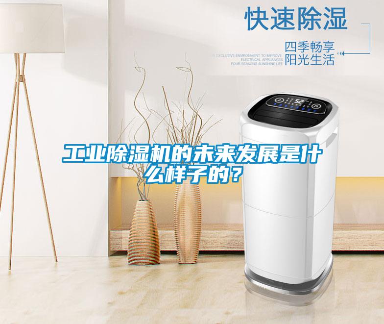 工業(yè)除濕機(jī)的未來發(fā)展是什么樣子的?