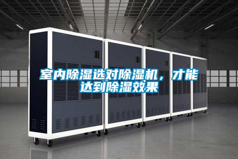 室內除濕選對除濕機,才能達到除濕效果