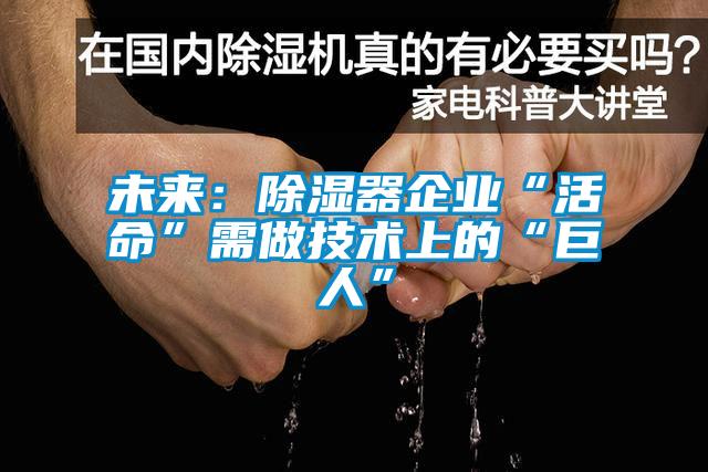 未來:除濕器企業“活命”需做技術上的“巨人”