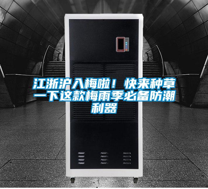 江浙滬入梅啦！快來種草一下這款梅雨季必備防潮利器