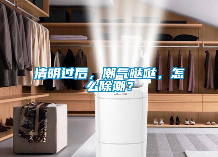 清明過(guò)后,潮氣噠噠,怎么除潮?