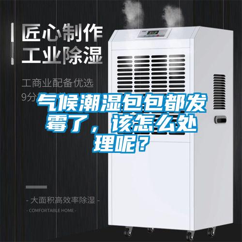 氣候潮濕包包都發霉了，該怎么處理呢？