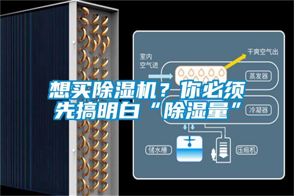 想買除濕機(jī)？你必須先搞明白“除濕量”