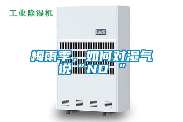 梅雨季，如何對(duì)濕氣說“NO ”