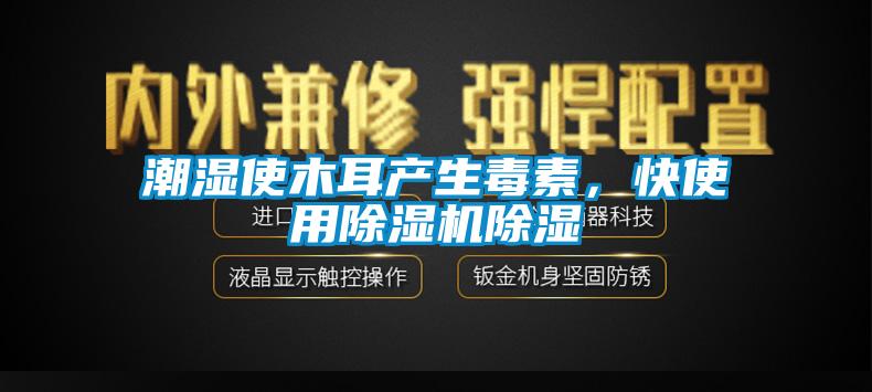 潮濕使木耳產(chǎn)生毒素，快使用除濕機除濕