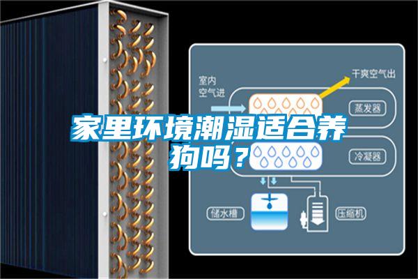 家里環(huán)境潮濕適合養(yǎng)狗嗎？