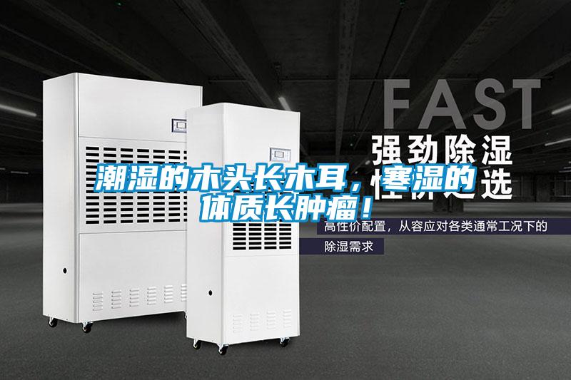 潮濕的木頭長木耳，寒濕的體質長腫瘤！