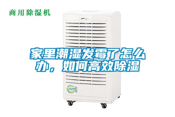 家里潮濕發(fā)霉了怎么辦,如何高效除濕