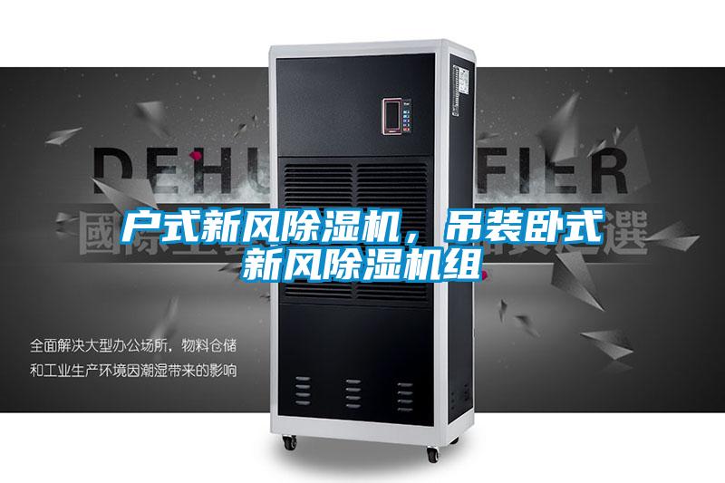 戶式新風(fēng)除濕機，吊裝臥式新風(fēng)除濕機組