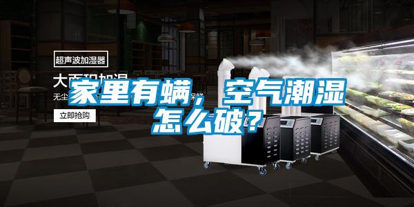家里有螨,空氣潮濕怎么破?
