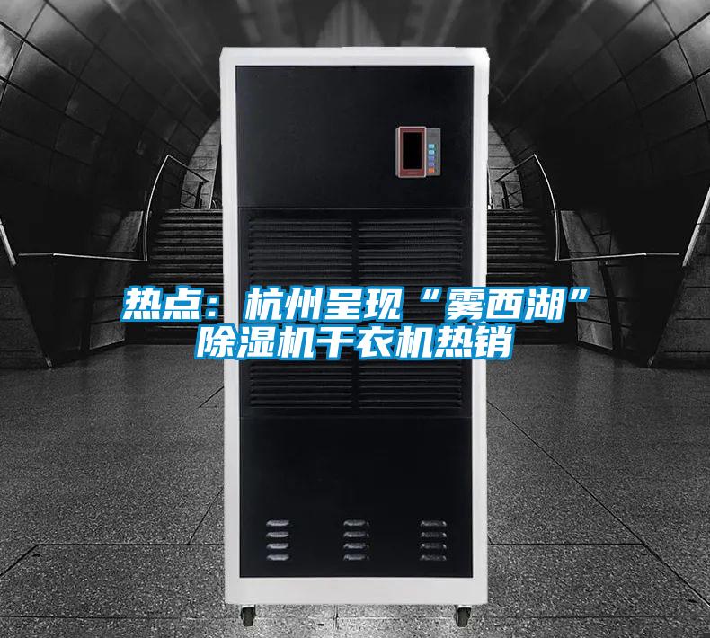 熱點:杭州呈現“霧西湖”除濕機干衣機熱銷