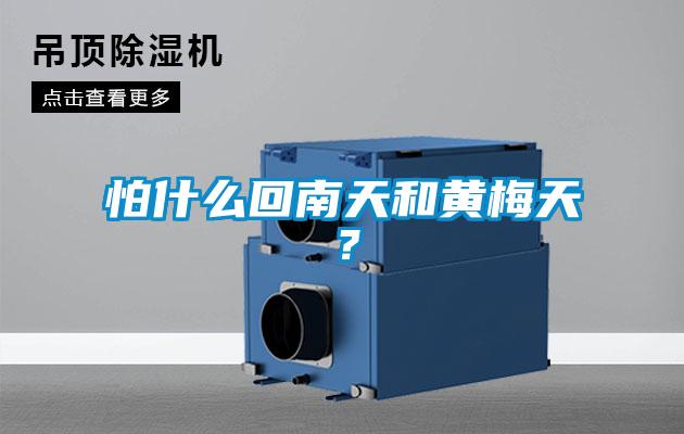 怕什么回南天和黃梅天？