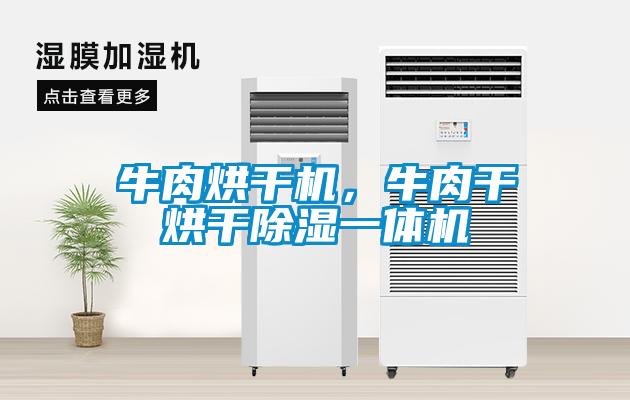 牛肉烘干機,牛肉干烘干除濕一體機