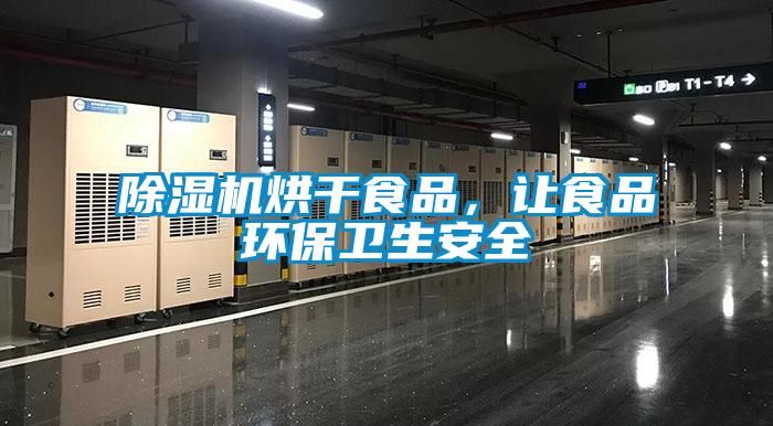 除濕機(jī)烘干食品,讓食品環(huán)保衛(wèi)生安全
