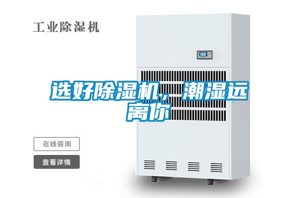 選好除濕機，潮濕遠離你