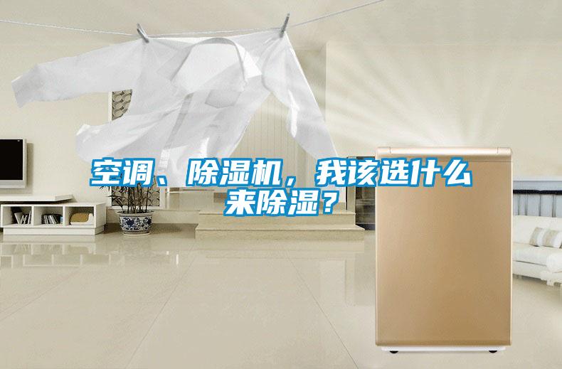 空調(diào)、除濕機，我該選什么來除濕？