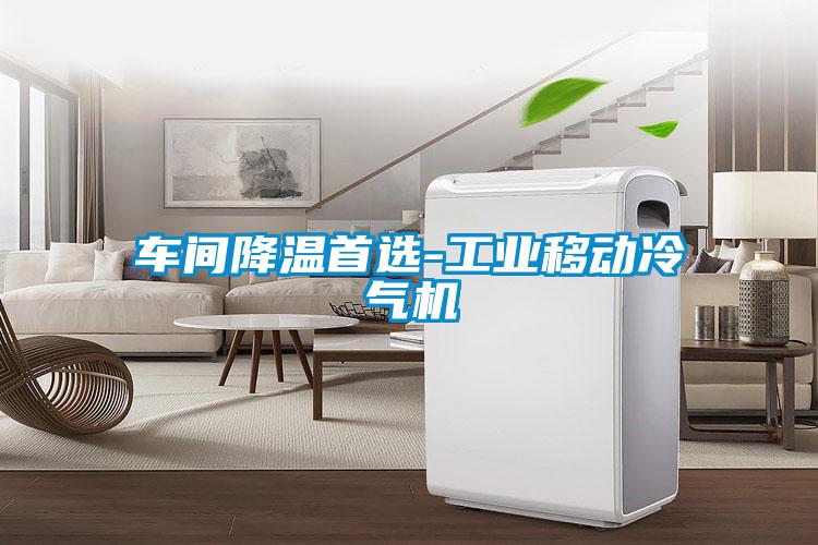 車間降溫首選-工業(yè)移動冷氣機