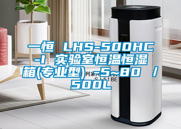 一恒 LHS-500HC-I 實驗室恒溫恒濕箱(專業(yè)型) -5~80℃/500L