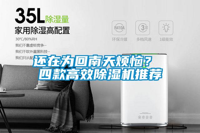 還在為回南天煩惱？ 四款高效除濕機推薦