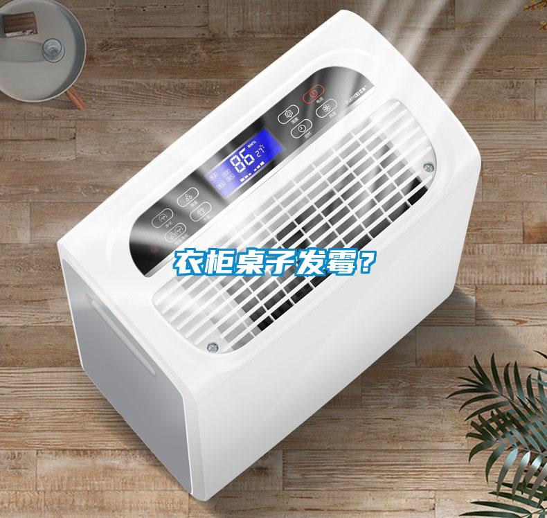 衣柜桌子發(fā)霉?