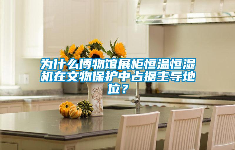 為什么博物館展柜恒溫恒濕機在文物保護中占據主導地位？