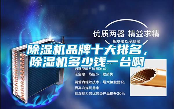 除濕機(jī)品牌十大排名，除濕機(jī)多少錢一臺啊