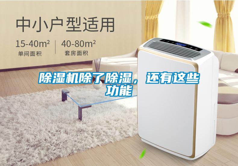 除濕機除了除濕，還有這些功能