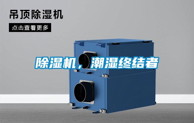 除濕機，潮濕終結者