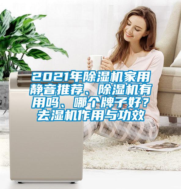 2021年除濕機(jī)家用靜音推薦、除濕機(jī)有用嗎、哪個(gè)牌子好？去濕機(jī)作用與功效