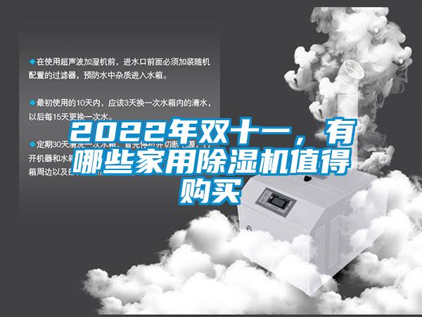 2022年雙十一，有哪些家用除濕機(jī)值得購(gòu)買
