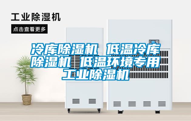 冷庫除濕機 低溫冷庫除濕機 低溫環境專用工業除濕機