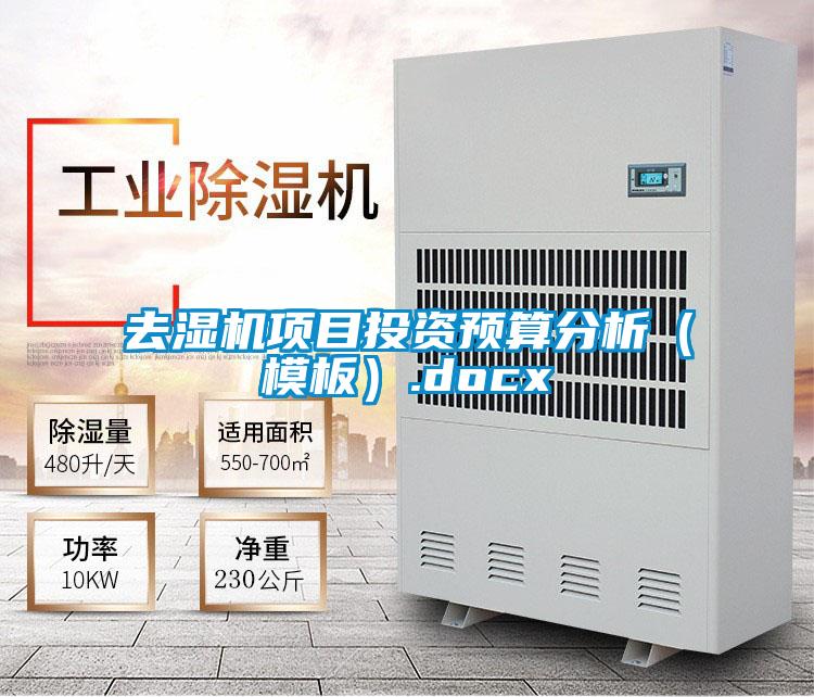 去濕機項目投資預(yù)算分析（模板）.docx