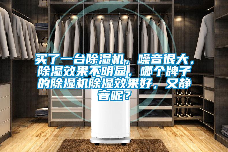 買了一臺除濕機，噪音很大，除濕效果不明顯，哪個牌子的除濕機除濕效果好，又靜音呢？