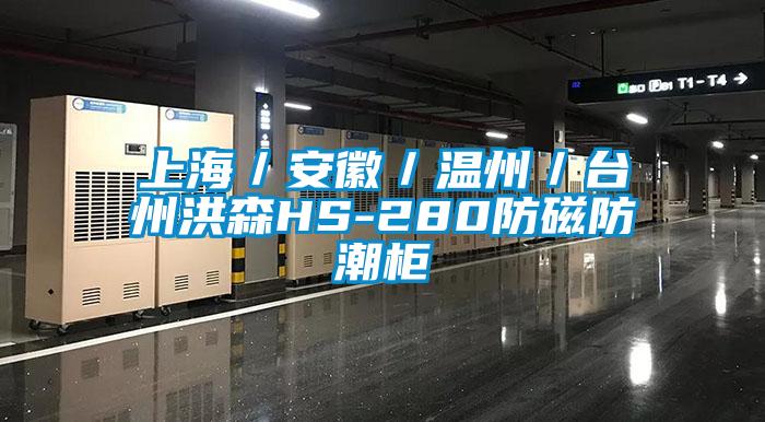 上海/安徽/溫州/臺州洪森HS-280防磁防潮柜